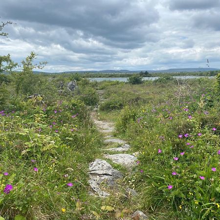 Luxury Glamping Dome With Views Of The Burren Villa Boston Exterior photo